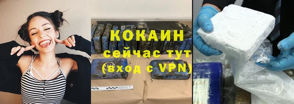 прущие грибы Михайловка