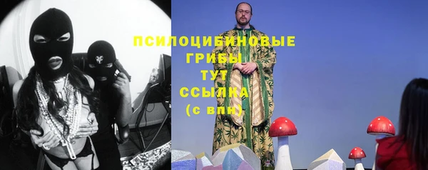 МДПВ Михайловск