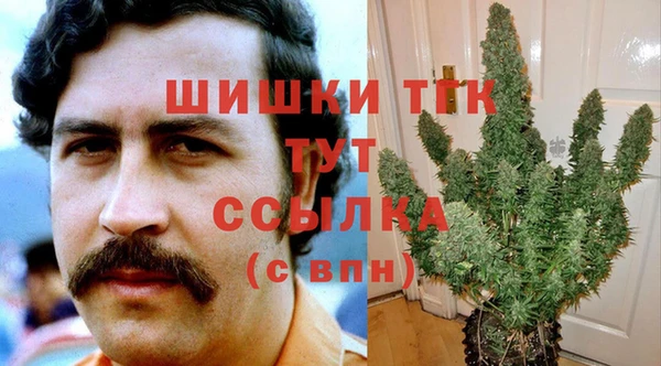 мдпв Мегион