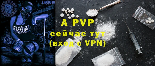 прущие грибы Михайловка