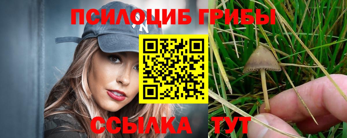 Псилоцибиновые грибы мухоморы  Вход с VPN  Моршанск 