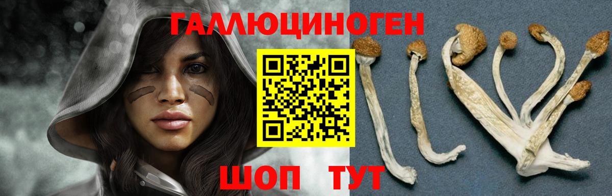 Псилоцибиновые грибы ЛСД Моршанск